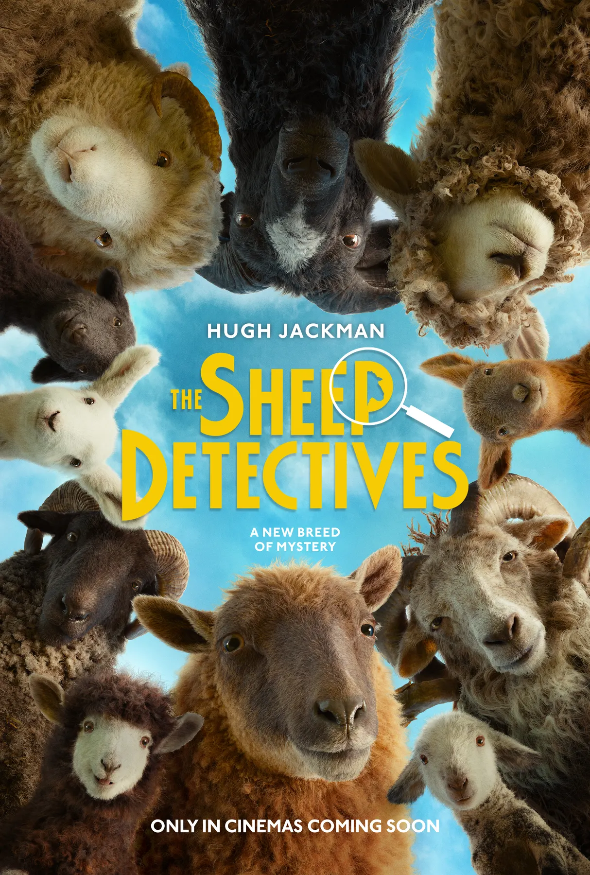 Sheep Detective